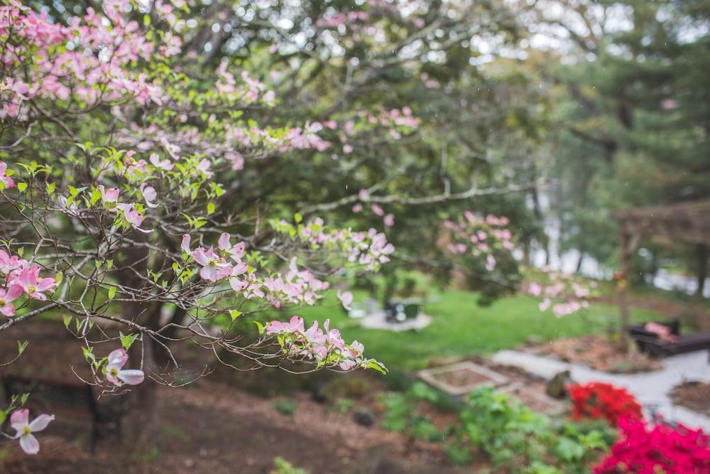 Bed and Breakfast The Applewood Manor Asheville Exteriér fotografie